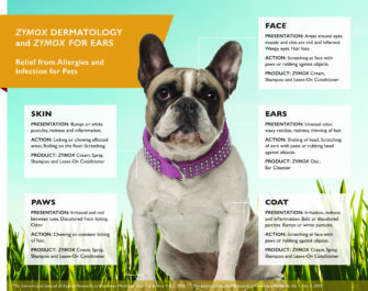 ZYMOX Dermatology and ZYMOX Ears