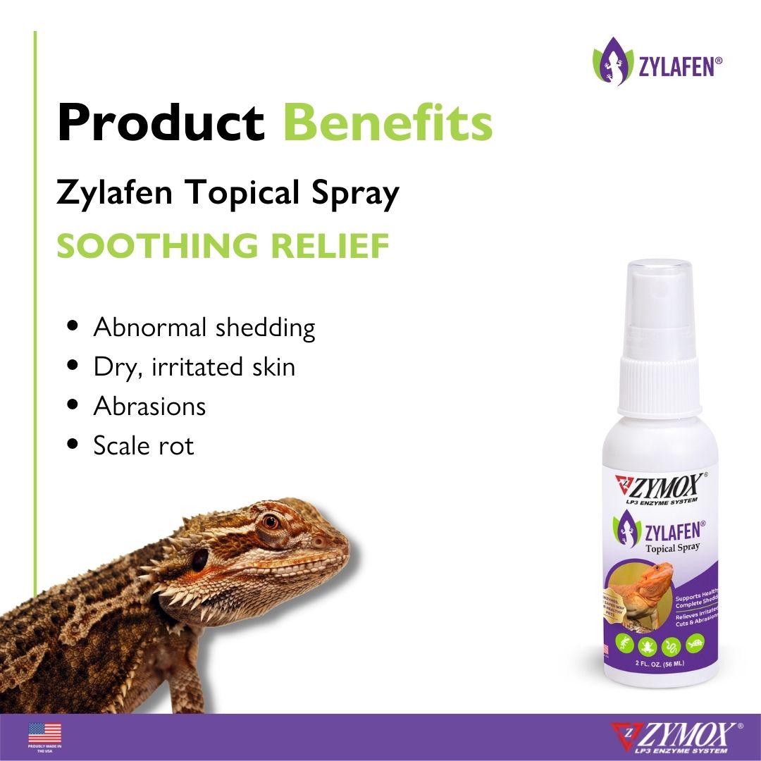 RZZTS_6 67334 82000 3_Zylafen Topical Spray (12) (1)