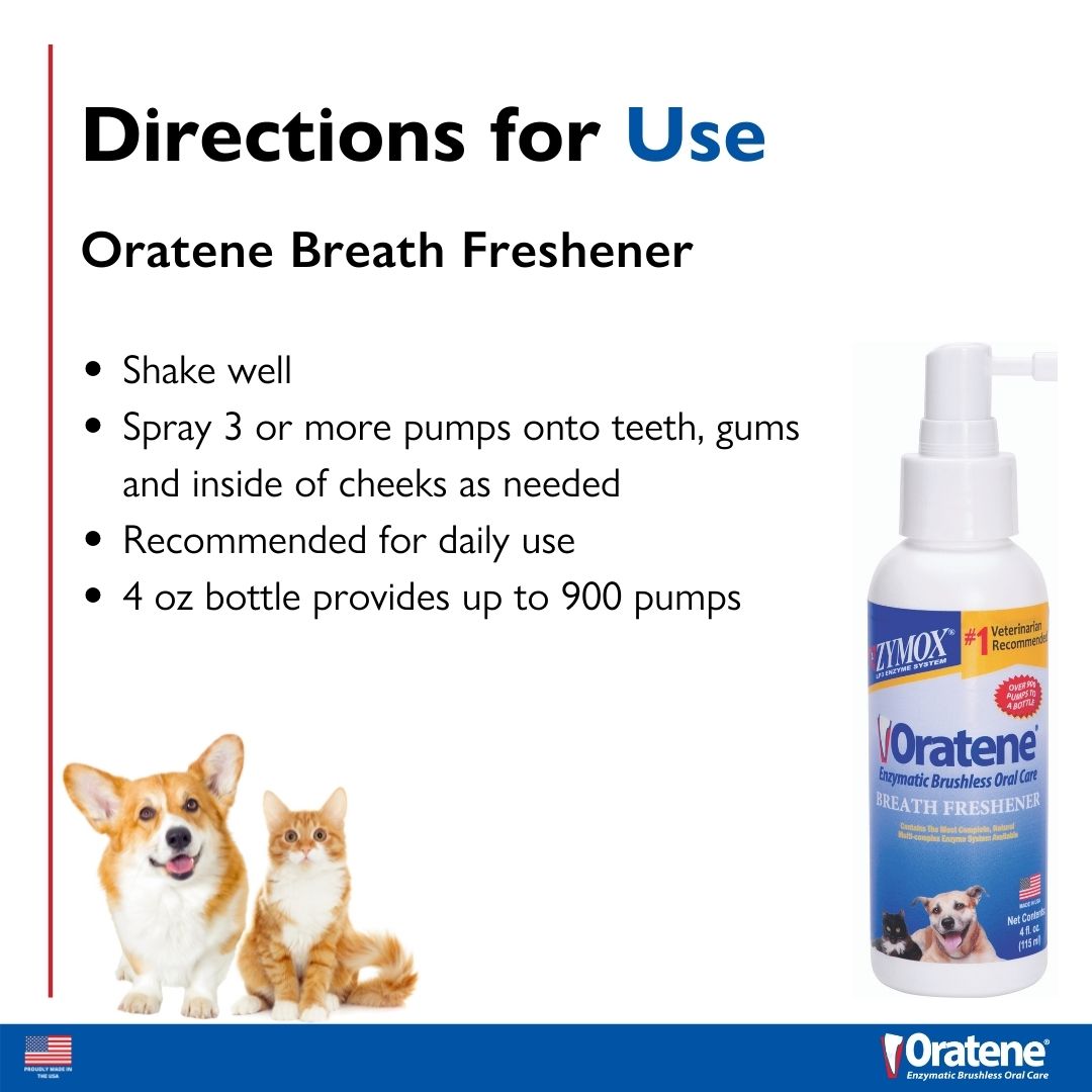 4 ROBF04 667334504002 Oratene Breath Freshener_directions.jpg (1)