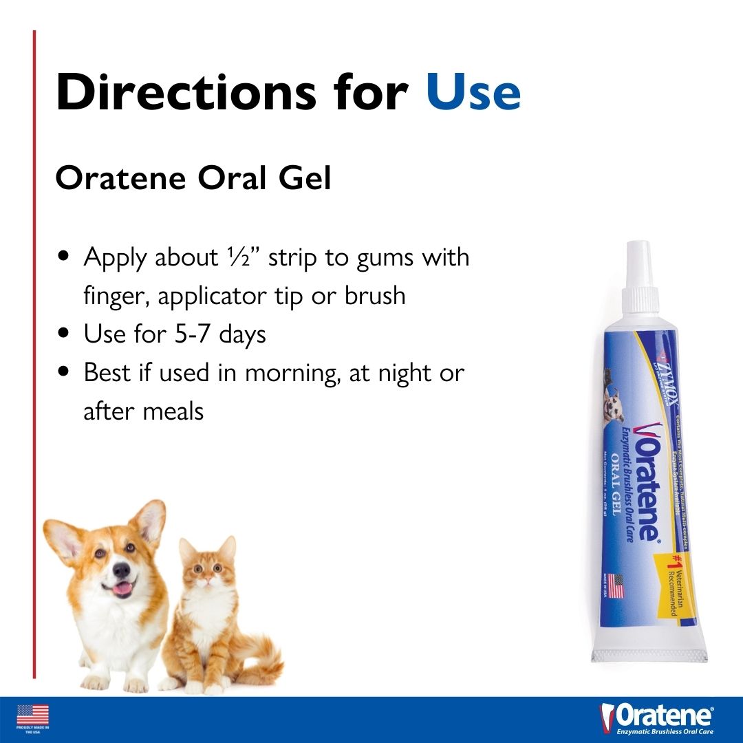 4 ROCAG0100 667334601008 Oratene Oral Gel _directions.jpg (1)