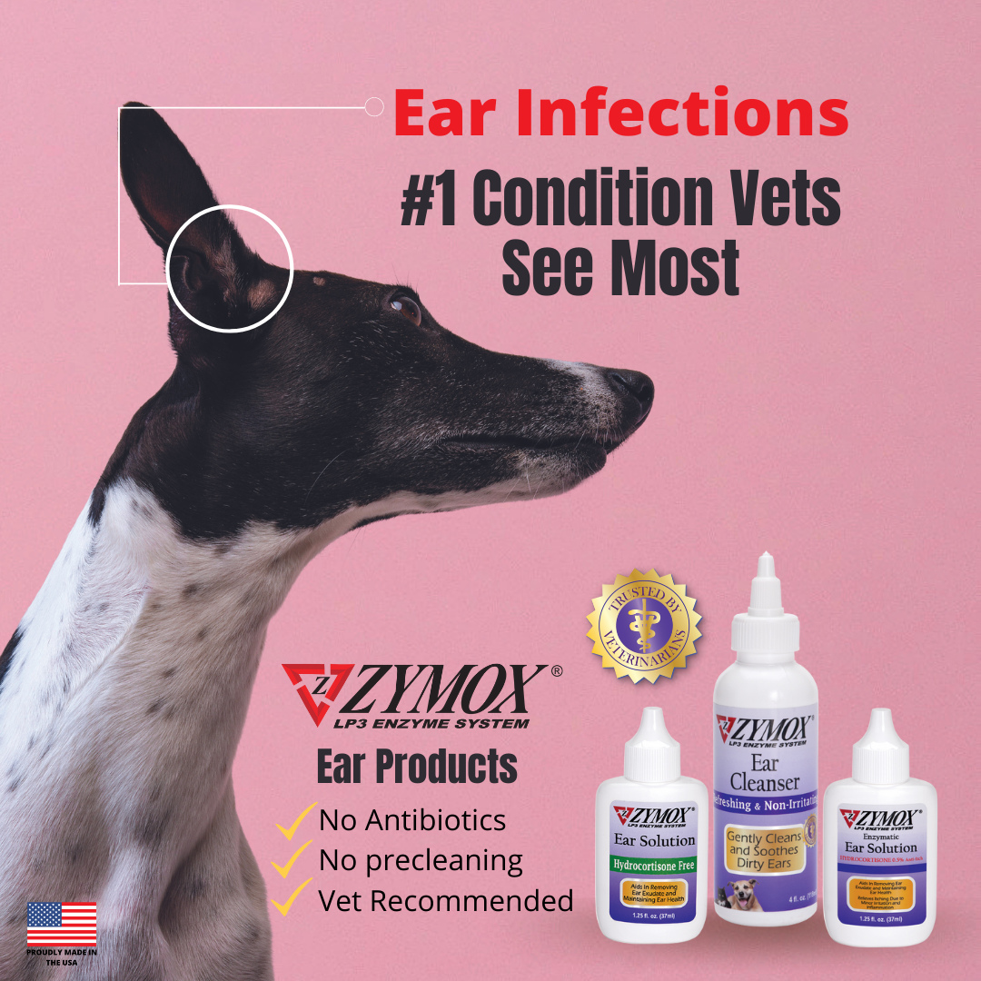 Ear Infections are #1 (3)