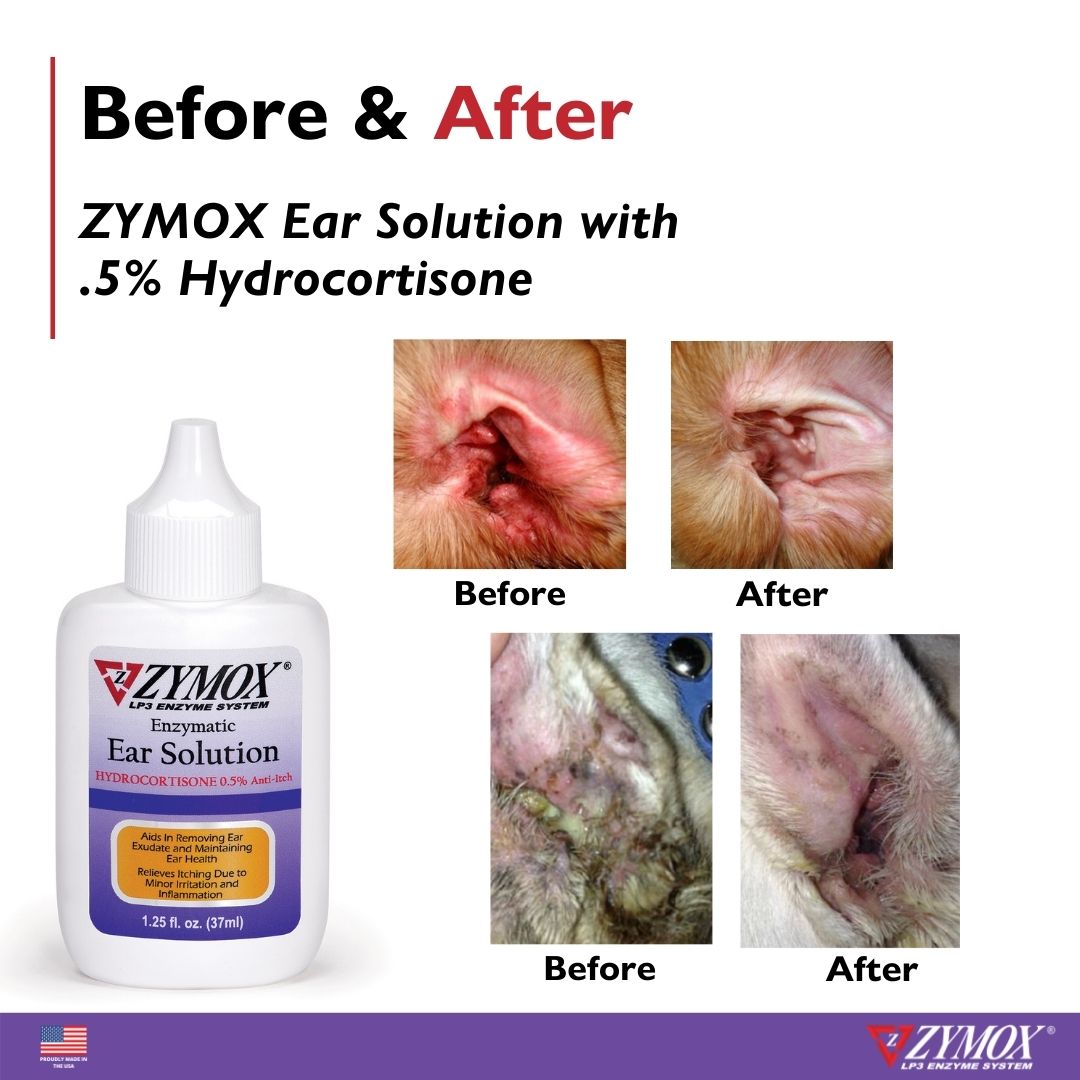 Ear Solution Before and After (2)