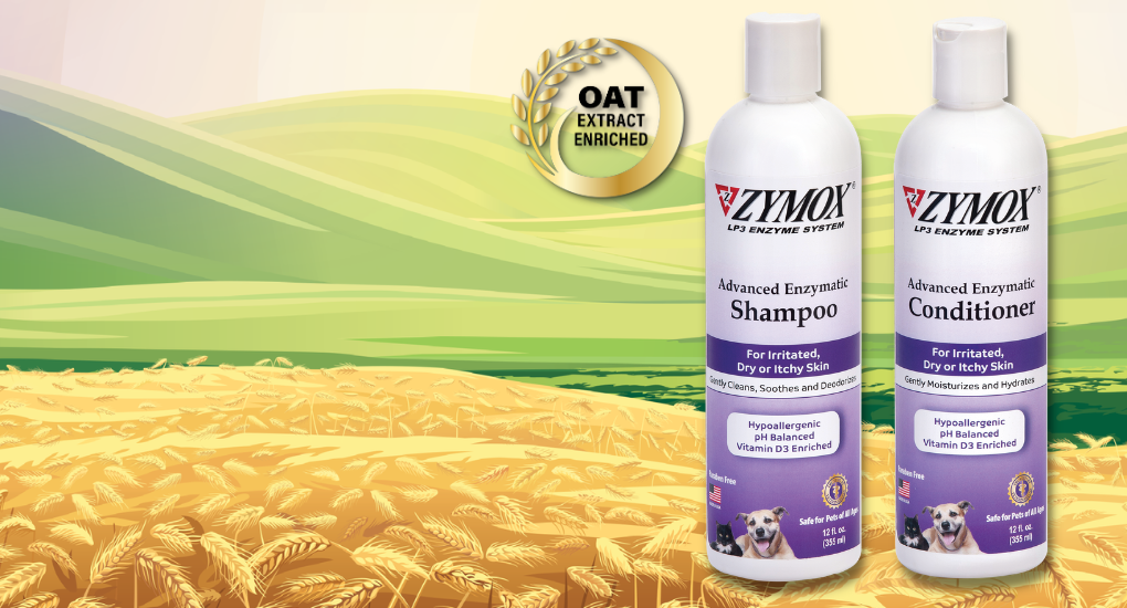 ZYMOX Advanced Oat LARGE